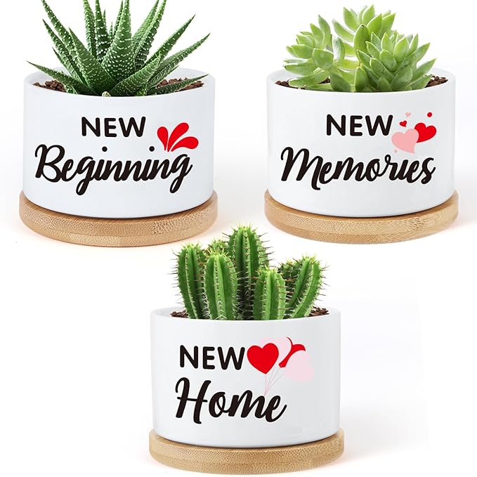 Housewarming Gifts New Home,Funny Ceramic Plant Pots Gifts for New Home for Women Men Neighbor Homeowner, Indoor Plants Garden Planters Succulent Pots(No Plants)(Newhome)