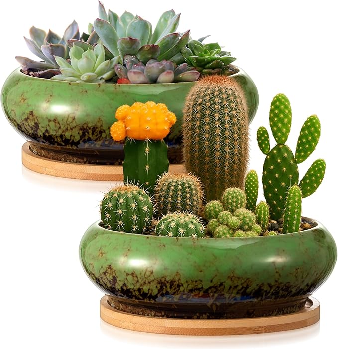2 Pack 7.3 Inch Round Large Shallow Succulent Ceramic Planter Pots with Drainage Hole Drip Glazed Shallow Bonsai Pot with Bamboo Tray for Indoor Outdoor Plants Decor Cactus Flower