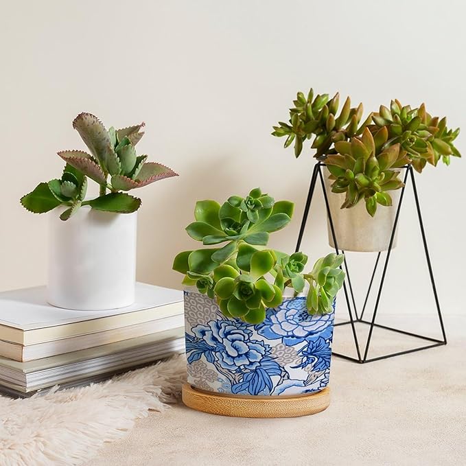 DreamAutumn Blue and White Chinoiserie Floral Planter Ceramic Round Plant Pots with Drainage Holes and Bamboo Tray Planting Small Flower Pots for Home Windowsill Desk Garden Indoor Outdoor Use