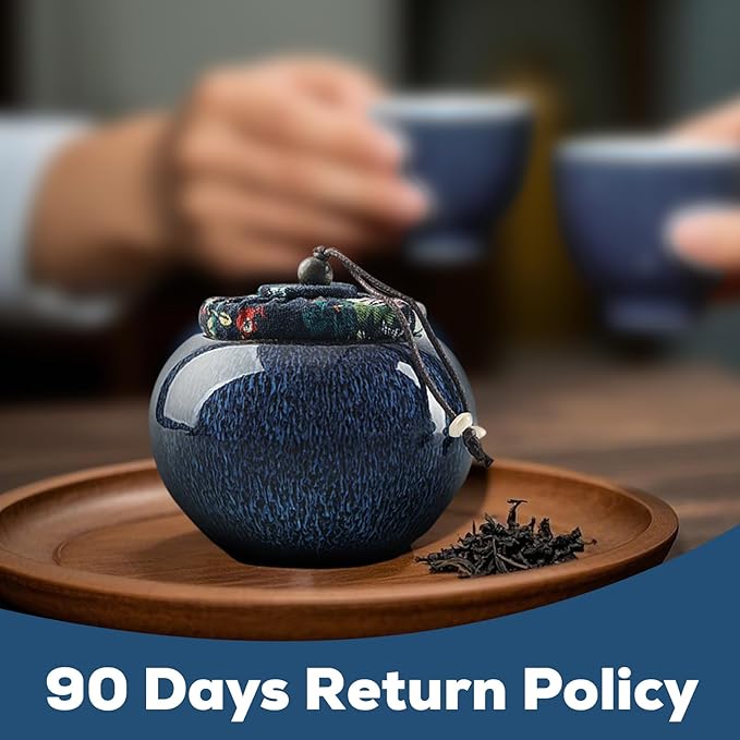 DUJUST Japanese Tea Canister, Kiln Altered Glaze Ceramic Tea Container with a Sealing Lid, Storage Jar for Loose Tea, Unique Tea Gift for Adults/Tea Lovers/Women/Men, Blue