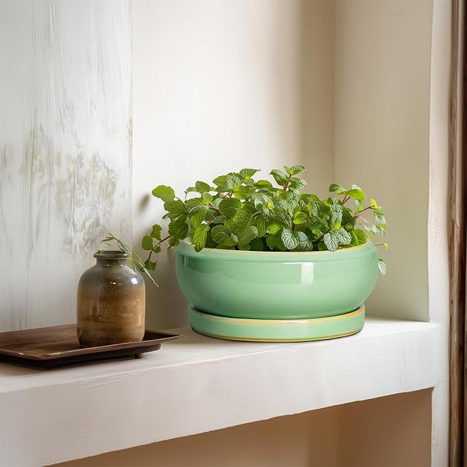 Succulent Planters - 8 Inch Ceramic Bonsai Pots with Drainage Hole and Plant Tray, Round Planter for Indoor Outdoor Plants, Shallow Planter Bowl, Room Decor, Housewarming Gifts, Light Green