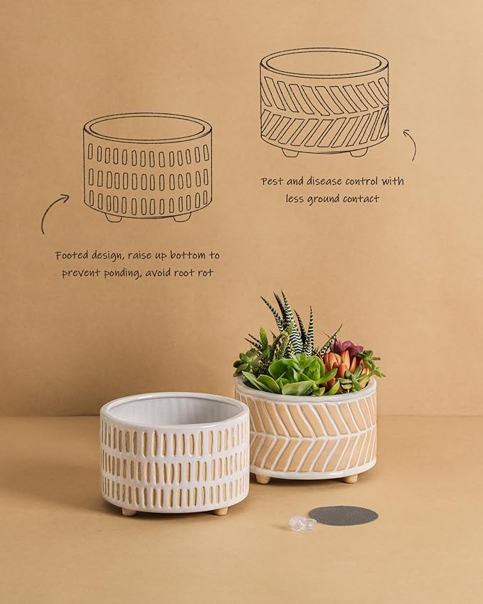 Succulent Pots, 6 Inch Planters with Drainage Hole, Modern Indoor Plant Pots for Succulents, Herbs, Aloe, Snake Plant - Ceramic Home Décor, Set of 2