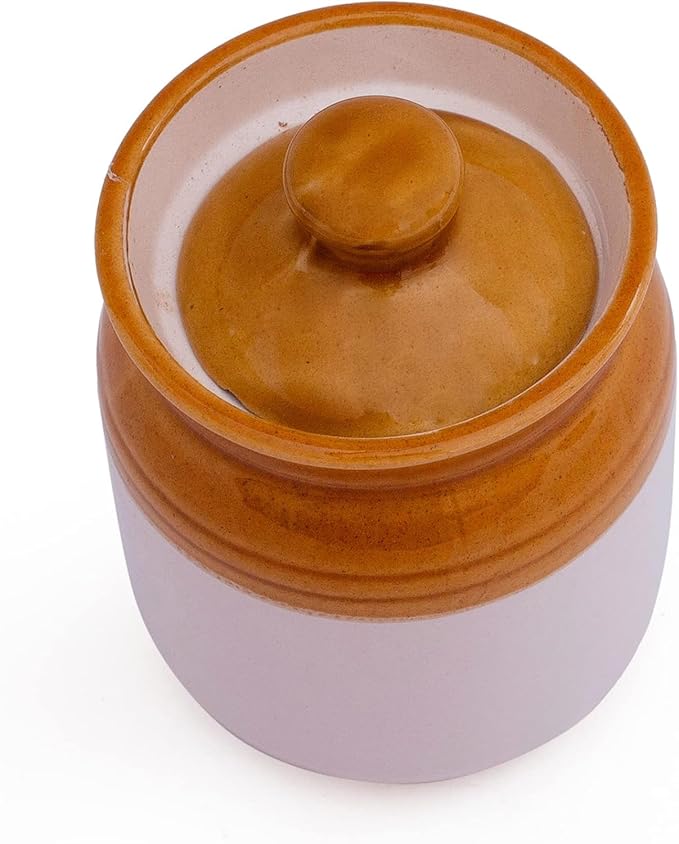 The Great Indian Bazaar Decorative Ceramic Jar With Lid For Kitchen Pantry Countertop Home Dining Table Accessories Condiment Pickle Spice Coffee Tea Caddy Sugar Salt Herbs Food Storage (White)