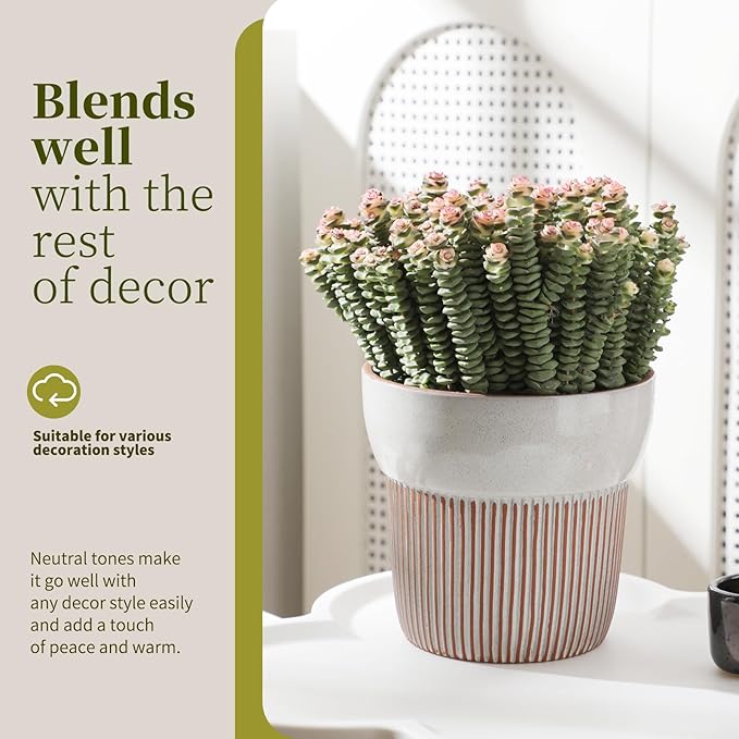6.5 inch Terracotta Pot for Plants, Ceramic Plant Pot for Succulents, Cacti, Herbs, Vertical Ribbed Design,Planter Pot for Dried and Fresh Plants