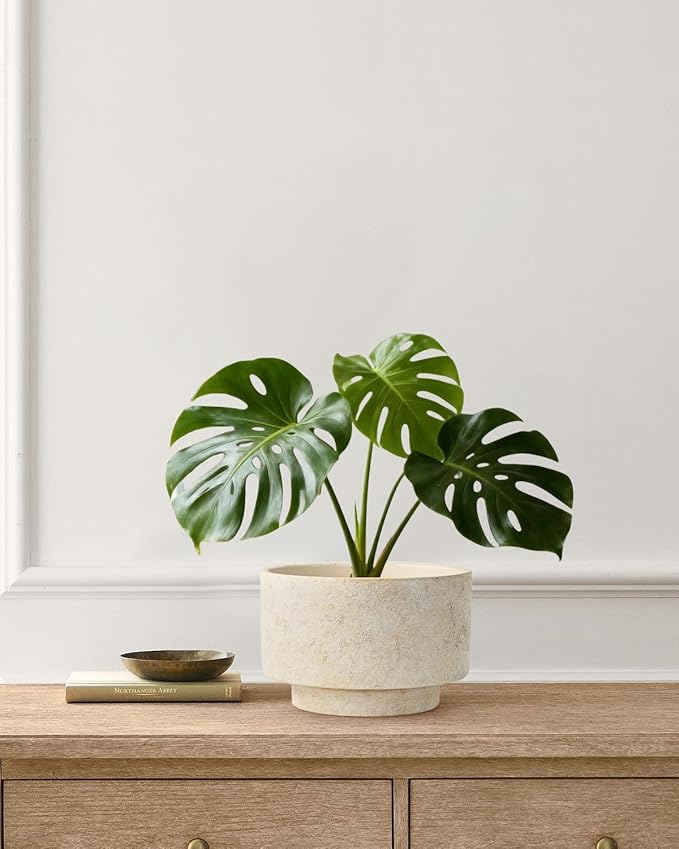 Succulent Pots, 8 Inch + 6 Inch Plant Pots for Plants with Drainage Hole, Indoor Outdoor Ceramic Planter, Set of 2 Round Flower Pots for Succulent and Plants, Beige