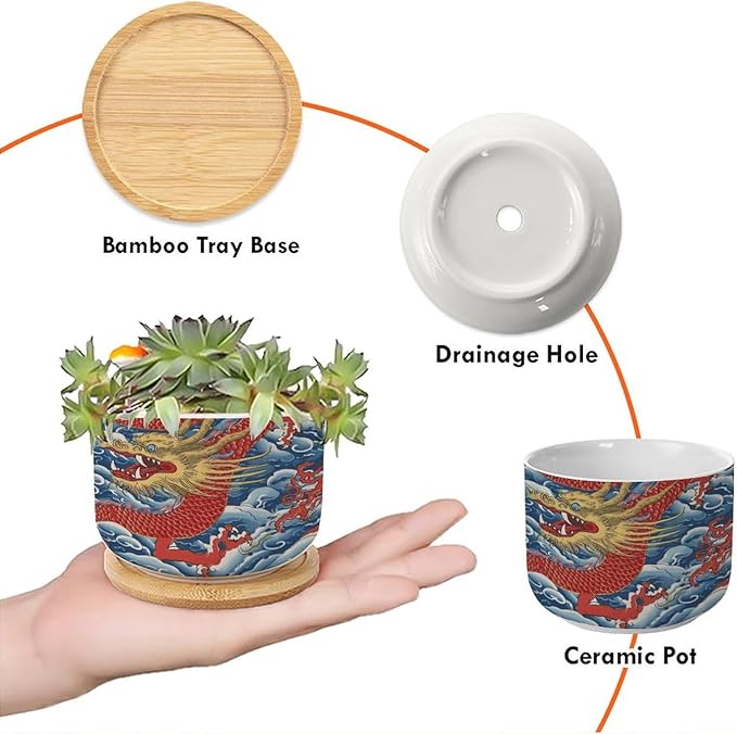 3 Piece Ceramics Planters Red and Auqa Dragon Small Succulents Pots Chinoiserie Dragon Cactus Pot Chinoiserie Asian Plant Pot with Drainage Holes and Bamboo Tray