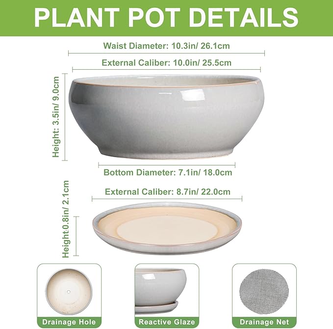SQOWL Bonsai Pots - 10 Inch Ceramic Succulent Pots with Drainage Hole and Saucer, Large Shallow Indoor Planter, Bowl Round Planter Outdoor, Living Room Decor, Plant Lover Gifts, Gray