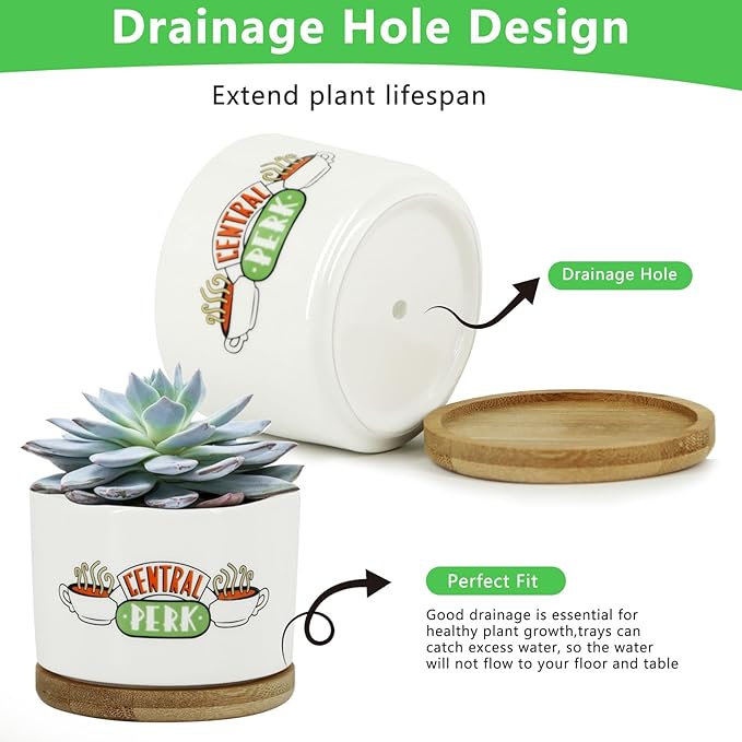 Ceramic Plant Pots,Funny Gifts for Women,for House Plants Garden Planters Succulent Pots, with Drainage Holes (White-Christmas)