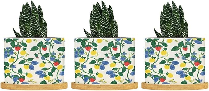 Summer Cherry Lemon Citrus Garden Planter Ceramic Strawberry Fruit Season Round Plant Pot with Drainage Holes and Bamboo Tray Pot for Outdoor Garden Home Plant