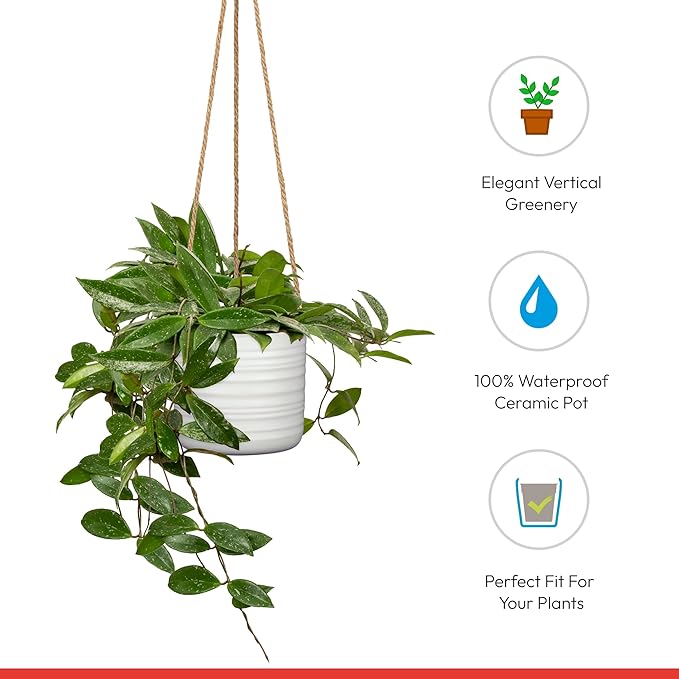 SCHEURICH Set of 2 Silent Green Cottage Ceramic Hanging Plant Pot 6.5" - with 22" Sisal Rope Hanger - Waterproof&Break-Resistant, for Indoor&Outdoor Plants, Succulents&Flowers - Made in Germany -0.7gl