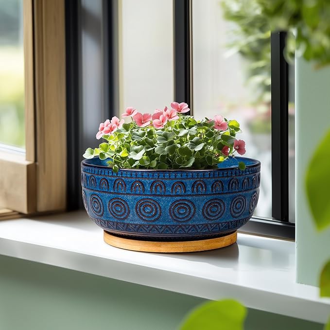 Bonsai Pots 8 Inch - Ceramic Succulent Pots for Indoor Plants, Shallow Round Planters with Drainage Hole and Saucer, Boho Bonsai Bowl, Home Decor, Blue
