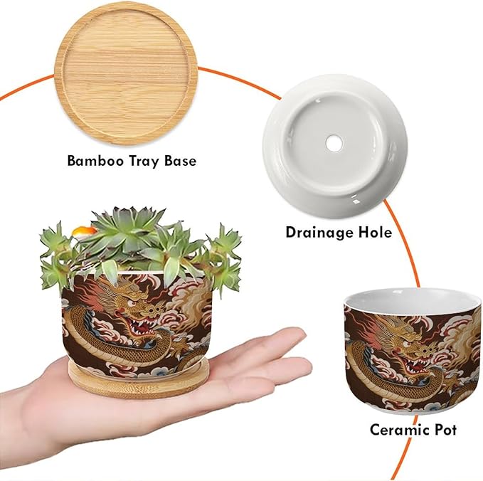 Antique Chinoiserie Dragon Ceramics Plant Pot Set of 5 Dragon Gold Oriental Style Asian Succulents Plants Live with Pot with Drainage Asian Scenery Chinoiserie Small Ceramics Plant Pot