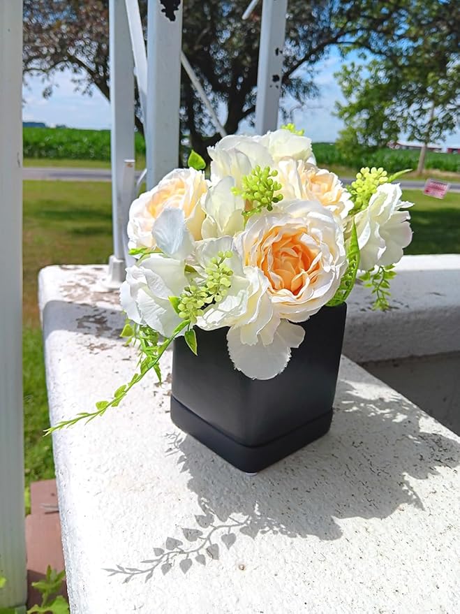 Lucky Winner Solid Cube Ceramic Planter Pot with Drain Hole- Unique Minimal Square Plant Pot for Indoor Outdoor Home Garden Decor (Black, 4")