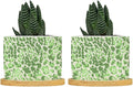 Leopard Green Beige Ceramic Planter Chinoiserie Style Green Snake Plant Live Indoor with Pot with Drainage Holes and Saucers Pot for Pots Outdoor Indoor Plants
