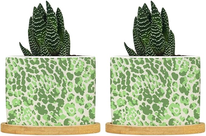 Leopard Green Beige Ceramic Planter Chinoiserie Style Green Snake Plant Live Indoor with Pot with Drainage Holes and Saucers Pot for Pots Outdoor Indoor Plants