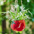 Cute Plant Pot - Funny Hanging Planter Gardening Gifts for Plant Lovers Women Mother House Warming - Smiley Red Planter for Indoor Outdoor