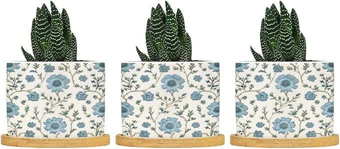 Mughal Flower in Planter Ceramic Blue Floral Round Flower Pots with Drainage Holes and Bamboo Tray Pot for Succulents Cactus Garden Windowsill