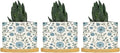 Mughal Flower in Planter Ceramic Blue Floral Round Flower Pots with Drainage Holes and Bamboo Tray Pot for Succulents Cactus Garden Windowsill