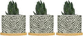 Tiger Fur Skin Planter Ceramic Animal Strip Print Round Plant Pots with Drainage Holes and Bamboo Tray Pot for Home Office Decoration