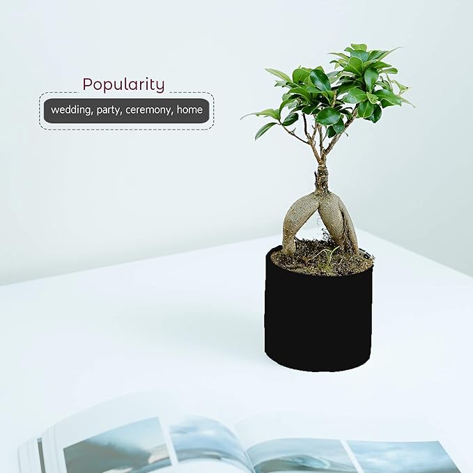 WGVI Matte Black Ceramic Cylinder Vase Width 5.5" Height 5", Flower Arrangements, Candle Holder, Terrarium Planter Pot, Storage Container Organizer, Pen Brush Holder, Home Tabletop Decor, 1 Piece