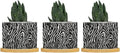 in Beige Planter Ceramic Black White Zebra Print Round Flower Pots with Drainage Holes and Bamboo Tray Pot for Home Office Decoration