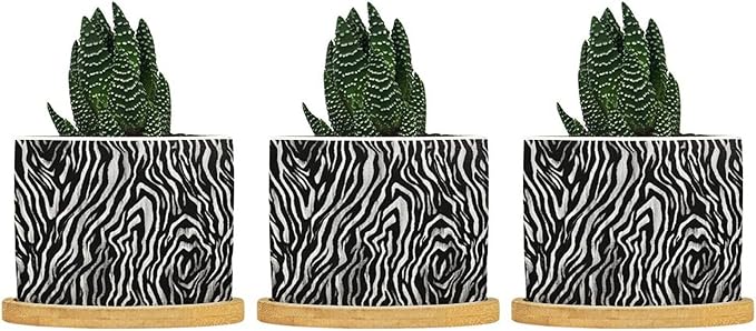 in Beige Planter Ceramic Black White Zebra Print Round Flower Pots with Drainage Holes and Bamboo Tray Pot for Home Office Decoration