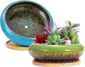 Succulent Pots, 7.3 Inch Succulent Planters with Drainage Pack of 2, Shallow Bonsai Pot with Tray Ceramic Pots for Indoor Plants Large Cactus Flower Plant Bowl