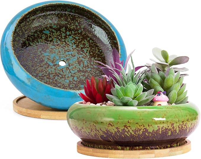 Succulent Pots, 7.3 Inch Succulent Planters with Drainage Pack of 2, Shallow Bonsai Pot with Tray Ceramic Pots for Indoor Plants Large Cactus Flower Plant Bowl