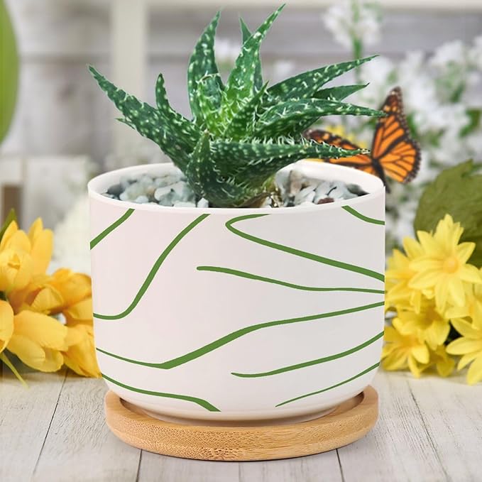 African Zebra Stripe Print Planter Ceramic Boho Geometric Green and Light Gray Round Plant Pots with Drainage Holes and Bamboo Tray Pot for Succulents Cactus Garden Windowsill