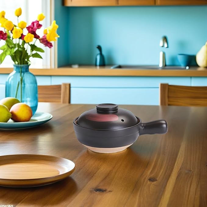 Clay Pot for Cooking Asian Food with Silicone Lid and Single Handle Traditional Terracotta Casserole Soup Pot for Gas Stove 10 Inch Kitchen Cookware for Home and Restaurant