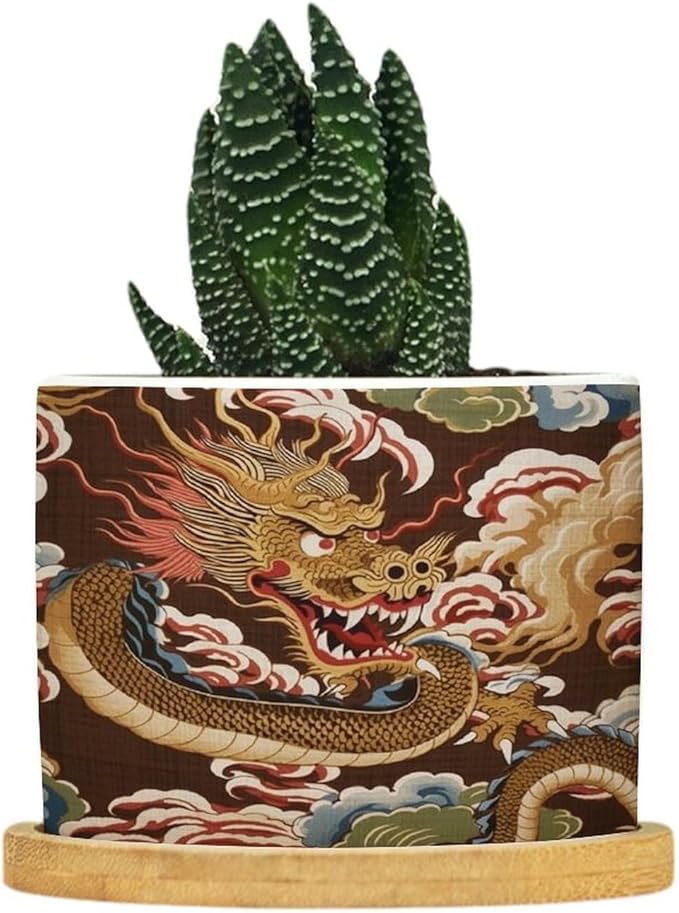 Chiang Dragon Planter Ceramic Chinoiserie Asian Round Flower Pot with Drainage Holes and Bamboo Tray Pot for Home Desktop Office Windowsill