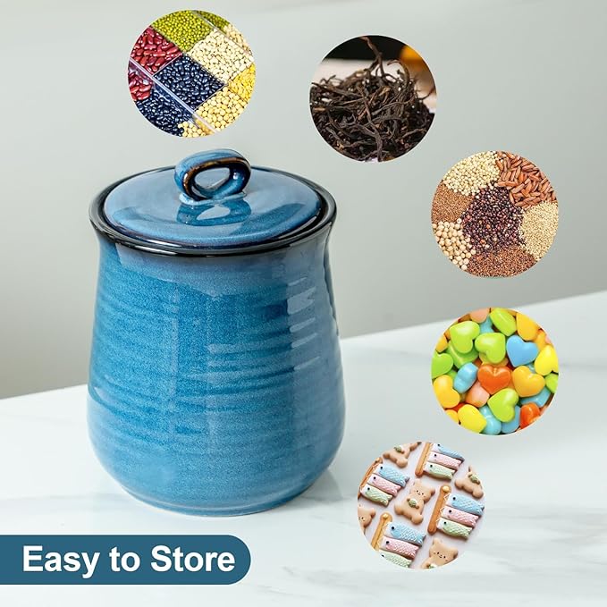 glowworm 80 Oz Large Food Storage Jar, Ceramic Coffee Canister with Airtight Lid, Cookies Containers for Candy, Flours, Rice, Pet Food, Blue
