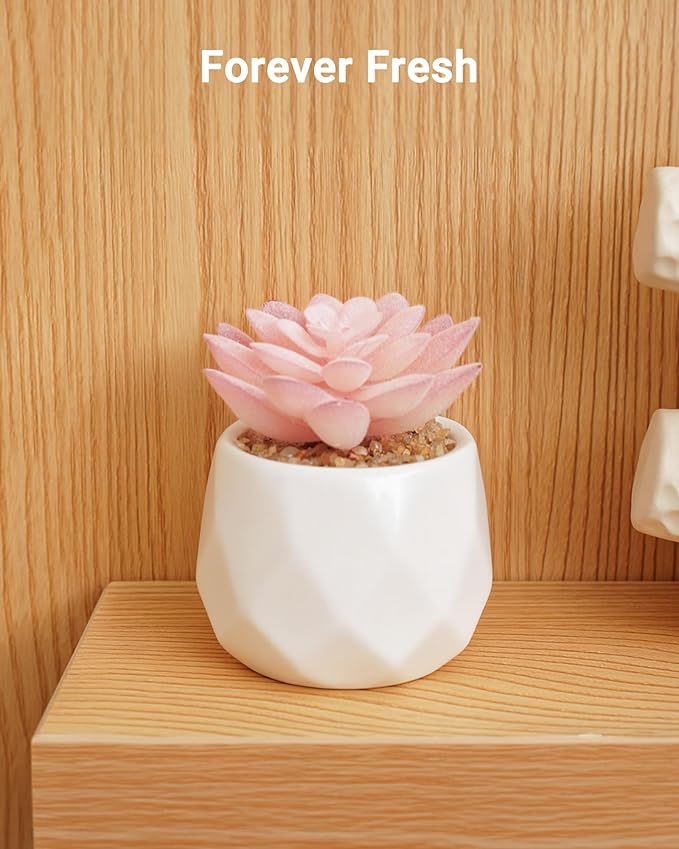 VIVERIE Mini Succulents Plants Artificial in Pots-Rose Pink, Christmas Small Fake Succulents Plants for Home Decor Indoor for Women, White Ceramic Faux Succulents, Set of 1, Gifts for Mom