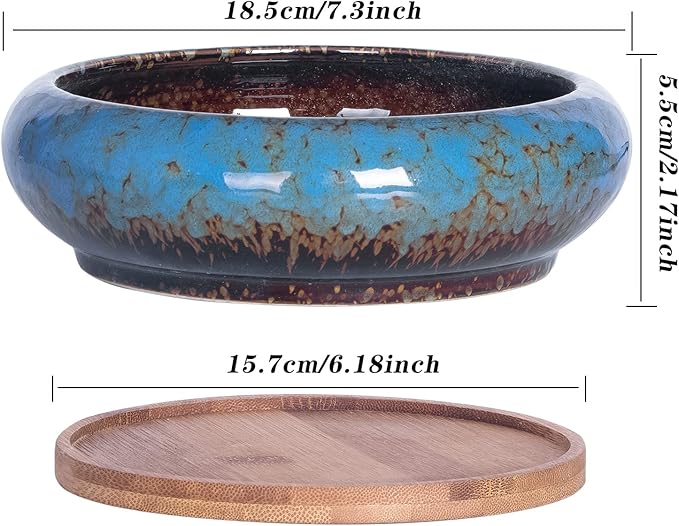 Succulent Pots, 7.3 Inch Succulent Planters with Drainage Pack of 2, Shallow Bonsai Pot with Tray Ceramic Pots for Indoor Plants Large Cactus Flower Plant Bowl