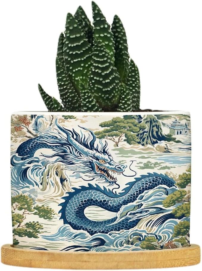 Trend Dragon Chinoiserie Asian Inspired Ceramic Planters With Saucers for Orchids, Succulents, Plants - Home Office Desk Garden Balcony New Home Decor