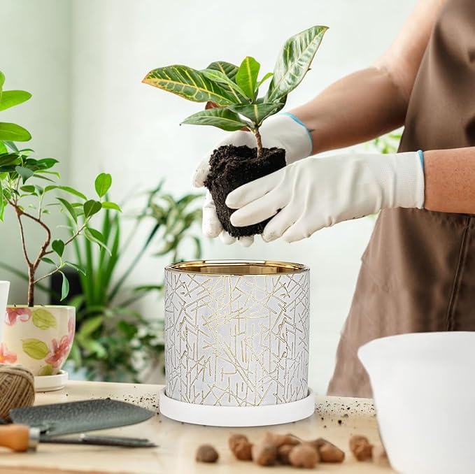 Ceramic Plant Pots with Drainage Hole & Saucer, Gold & White Ceramic Planter Pot for Indoor & Outdoor, 5.5" Small Plant Pots Decorative Flower Pot for Succulents, Herbs, Cactus, Orchids Planter