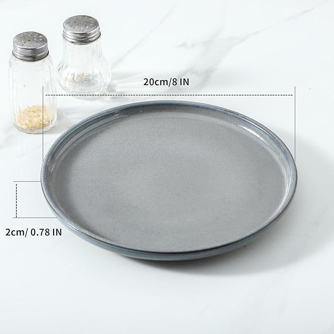 HASENSE Ceramic Dessert Plates Set – 8 Inch Premium Proclaim Dishes, 4 Piece Gray Plates Set Ideal for Serving Dessert, Snack or Vegetable, Dishwasher Safe and Microwave Safe for Daily Dining