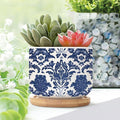 Blue Regalia Lion Ceramics Pots for Plants Set of 3 Indigo Blue Flower Lion Asian Succulents Plants Live with Pot with Drainage Bamboo Trays Chinoiserie Asian Small Ceramics Plant Pot