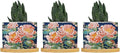 Bright and Chinoiserie Ceramic Planter Coral Peony Floral Flower Pots for Indoor Plants with Drainage Holes and Saucers Pot for Outdoor Garden Home Plant