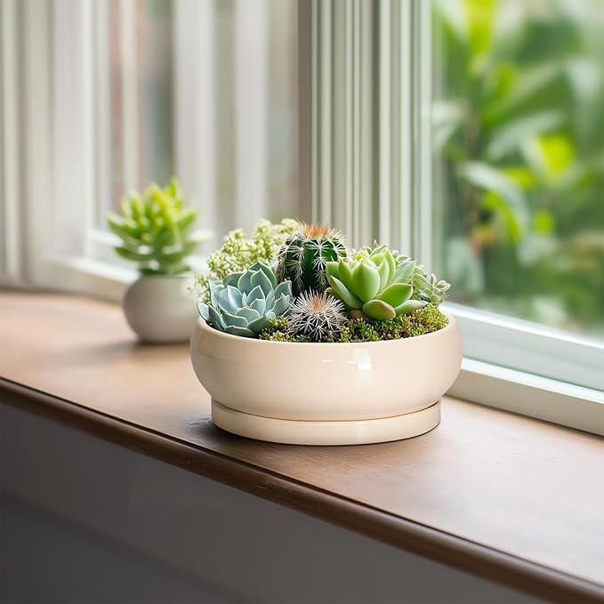 Small Bonsai Pots - 6 Inch Ceramic Succulent Planters for Indoor Plant Outdoor, Shallow Planter with Drainage Hole and Saucer, Round Succulent Pots, Kitchen Decor, Gifts for Women Men, Beige