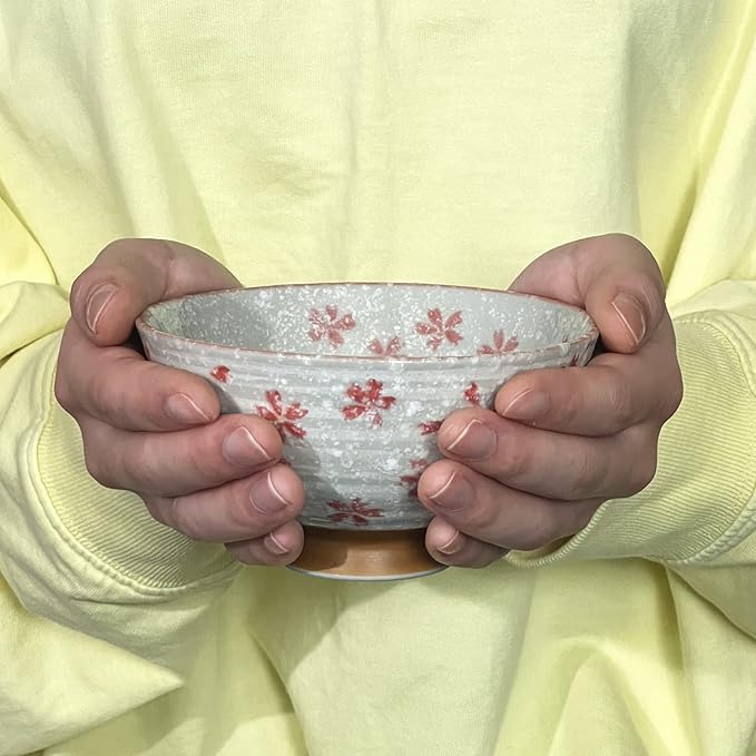 Traditional Style Japanese Ceramics Rice Bowl Chawan Pottery, Dishwasher Microwave Safe Made in Japan (Koyuki Zakura, Small (nakahira))