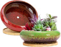 Succulent Pots - 2 PCS Large Bonsai Pots With Drainage Tray, 7.3 Inch Shallow Planters for Indoor Plants Ceramic Cactus Plant Container Bowl for Home Office Desk
