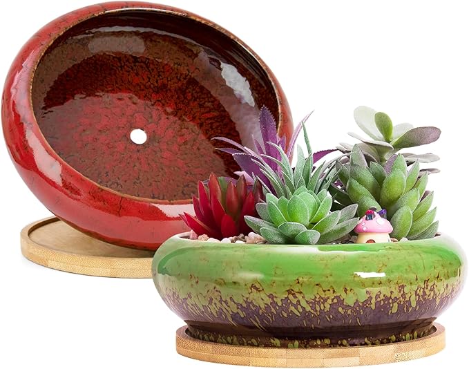 Succulent Pots - 2 PCS Large Bonsai Pots With Drainage Tray, 7.3 Inch Shallow Planters for Indoor Plants Ceramic Cactus Plant Container Bowl for Home Office Desk