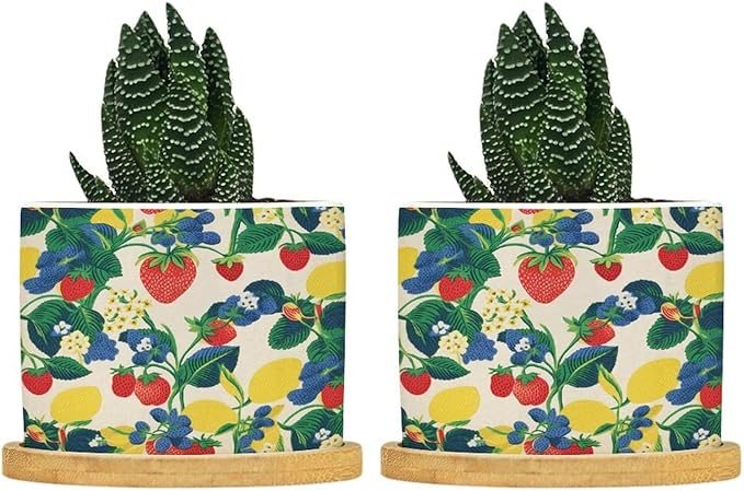 Summer Cherry Lemon Citrus Garden Ceramic Planter Strawberry Fruit Season Planters for Indoor Plants with Drainage Holes and Saucers Pot for Pots Outdoor Indoor Plants