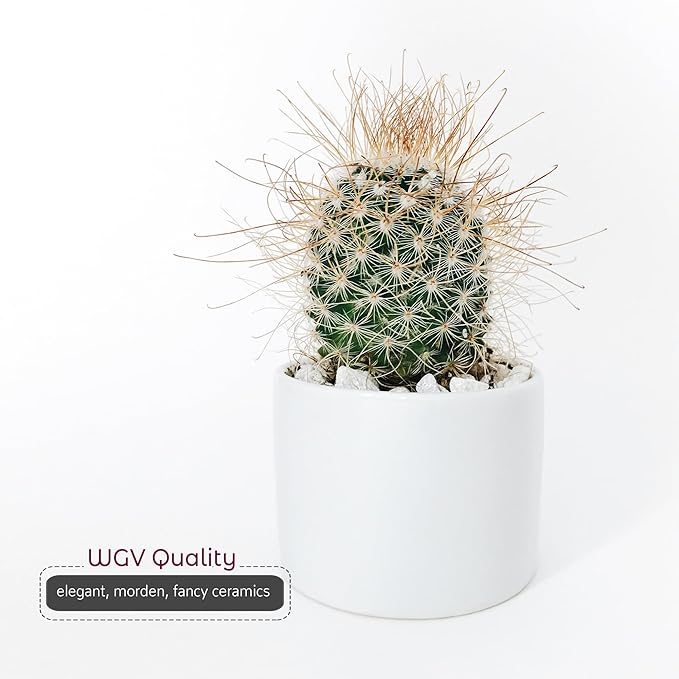WGVI Matte White Ceramic Cylinder Vase Width 5.5" Height 5", Flower Arrangements, Candle Holder, Terrarium Planter Pot, Storage Container Organizer, Pen Brush Holder, Home Tabletop Decor, 1 Piece
