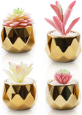 VIVERIE Mini Succulents Plants Artificial in Pots-Pink with Golden Ceramic, Christmas Small Fake Succulents Plants for Home Decor Indoor Christmas Decor for Women, Set of 4, Gifts for Mom