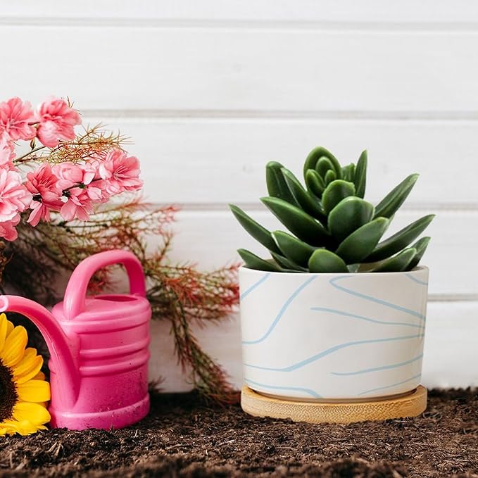 African Zebra Stripe Print Ceramic Planters Boho Geometric Light Blue and White Snake Plant Live Indoor with Pot with Drainage Holes and Saucers Pot for Home Desktop Office Windowsill