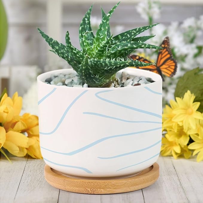 African Zebra Stripe Print Ceramic Planters Boho Geometric Light Blue and White Snake Plant Live Indoor with Pot with Drainage Holes and Saucers Pot for Home Desktop Office Windowsill