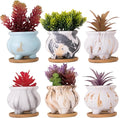 ARTKETTY Succulent Pots - 3.8 Inch Marble Plant Pot with Drainage Trays Set of 6, Small Ceramic Pots for Indoor Cactus Flower Plants Decorative Garden Home Office