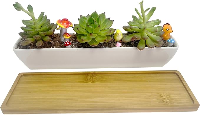 11inch Long Rectangle White Ceramic Succulent Planter Pots/Mini Flower Plant Containers with Bamboo Saucers. Product Size:11x2.23x1.69inch,not Include The Plant. (Long Rectangle)